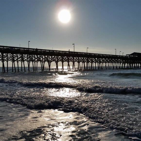 Meet your Posher, Crissy - Picture 13 of 15